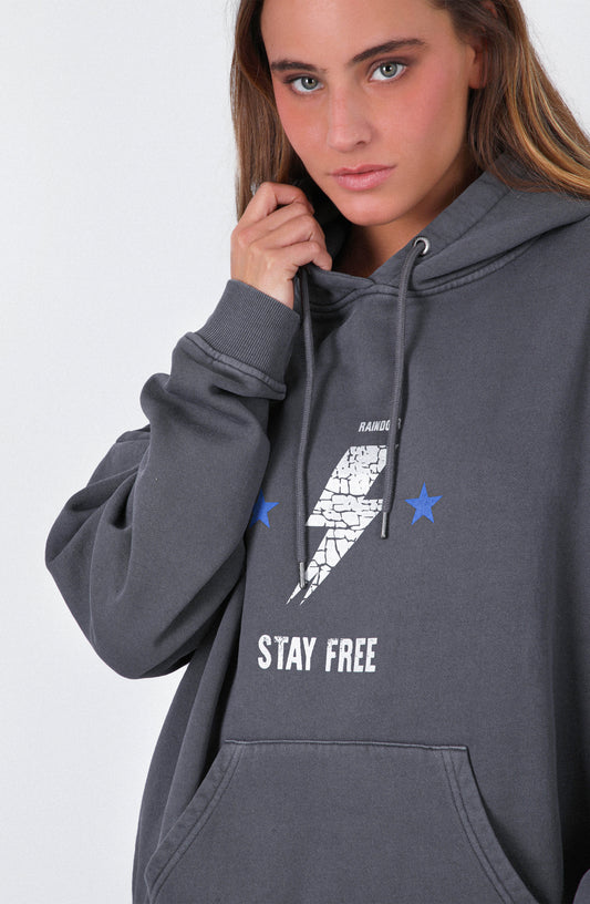 Polerón Hoodie Estampado Grey