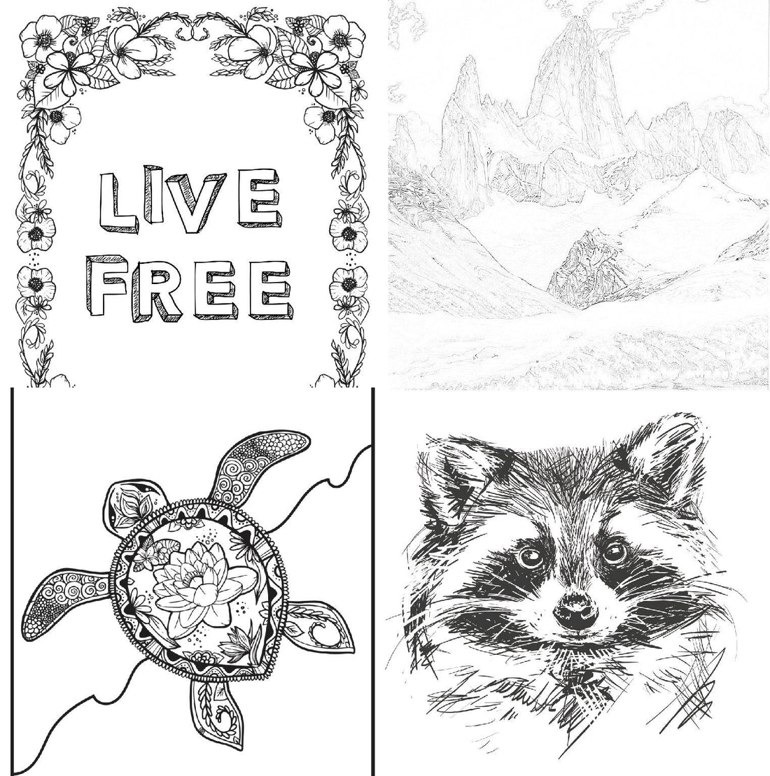 RD COLORING STYLE - Raindoor