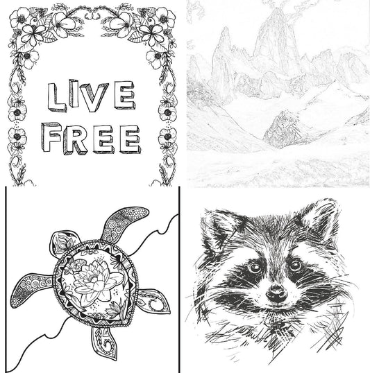 RD COLORING STYLE - Raindoor