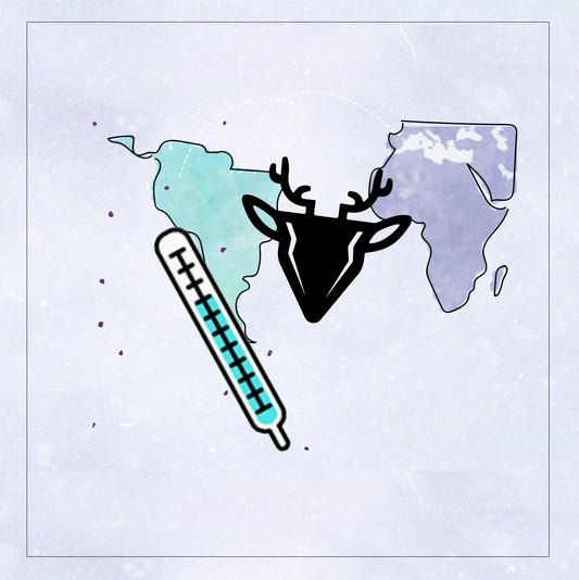 MAPA DE TU MEJOR CHIPORRO - Raindoor