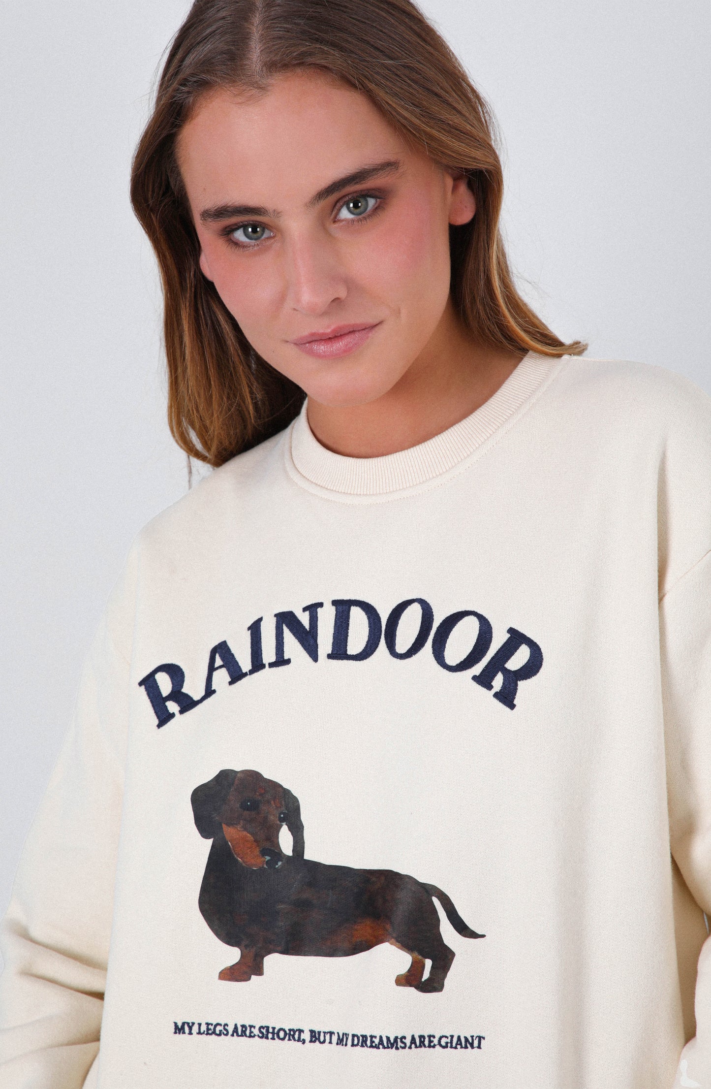 Polerón Crew Neck Estampado Bone