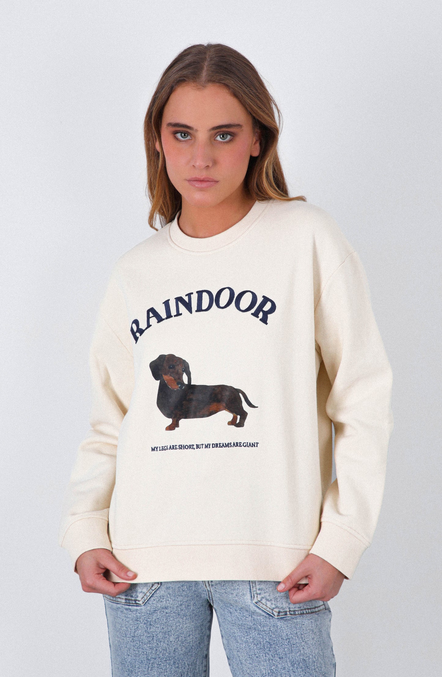 Polerón Crew Neck Estampado Bone