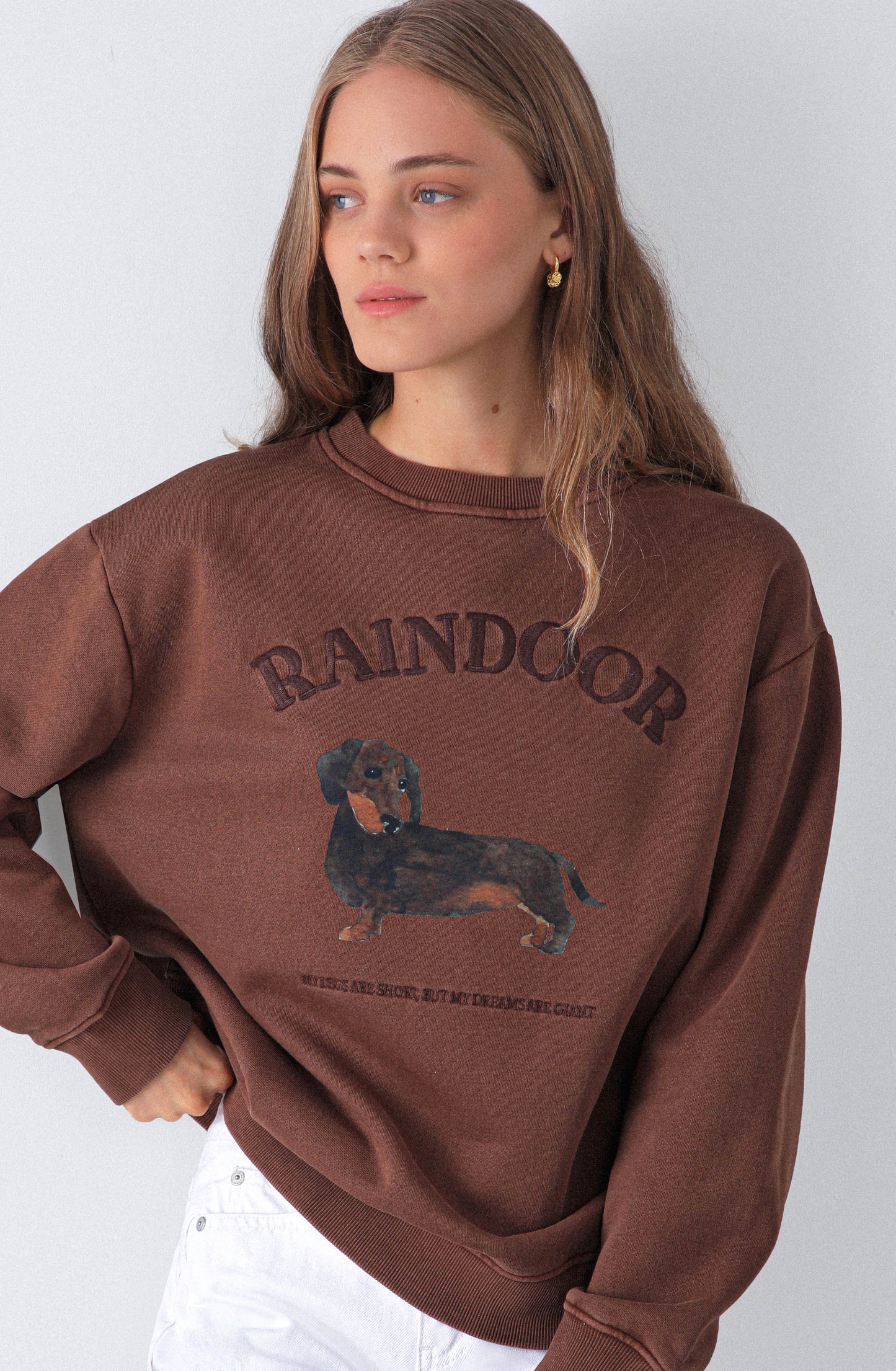 Polerón Perro Brown