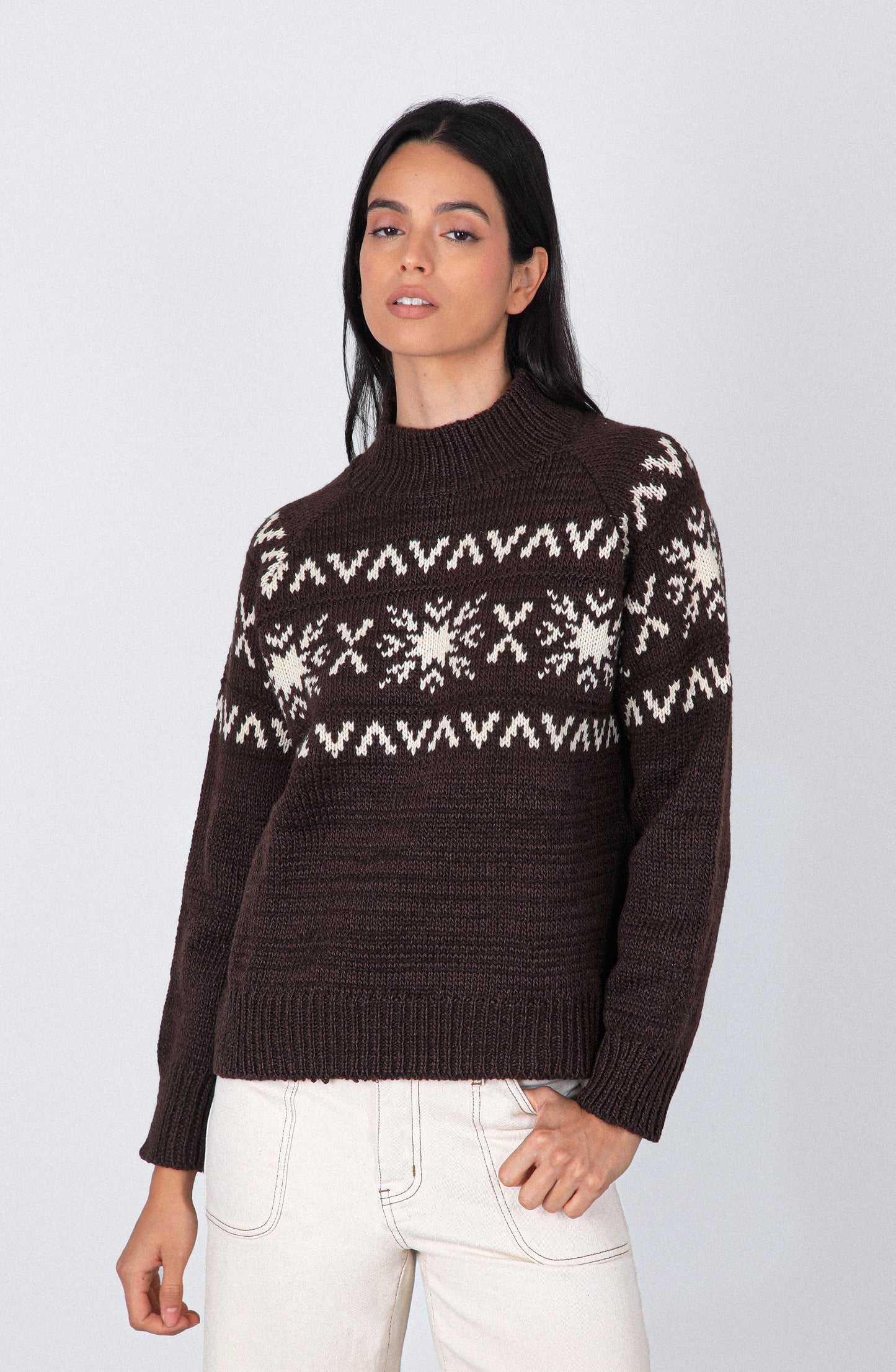 Sweater Jacquard Brown